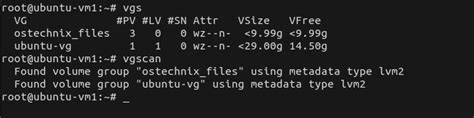 vgs command in linux